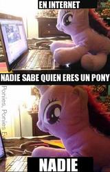 Size: 362x566 | Tagged: safe, twilight sparkle, g4, hasbro, irl, meme, photo, plushie, spanish, translated in the comments