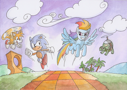 Size: 1000x712 | Tagged: safe, artist:adamis, rainbow dash, tank, g4, commission, crossover, male, miles "tails" prower, sonic the hedgehog, sonic the hedgehog (series), traditional art, watercolor painting