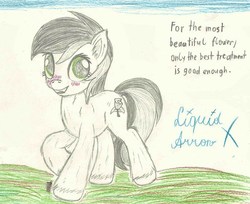 Size: 925x756 | Tagged: safe, artist:liquidarrow-x, roseluck, g4, blushing, female, solo, traditional art, unshorn fetlocks