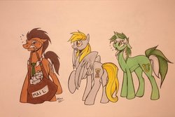 Size: 1024x684 | Tagged: safe, artist:datrussianchic, derpy hooves, doctor whooves, lyra heartstrings, time turner, pegasus, pony, g4, magical mystery cure, bag, female, key, letter, mail, mailbag, mare, necktie, plewds, swapped cutie marks, sweat, traditional art
