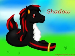 Size: 640x480 | Tagged: safe, artist:sexyback2010, pony, male, ponified, shadow the hedgehog, solo, sonic the hedgehog (series)