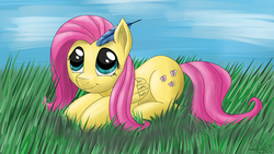Size: 1920x1080 | Tagged: safe, artist:polex-p, fluttershy, pegasus, pony, g4, day, feather, feather in hair, grass, looking up, solo, wallpaper