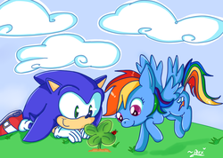 Size: 1000x710 | Tagged: safe, artist:chibiirose, rainbow dash, ladybug, pegasus, pony, g4, chibi, clover, crossover, female, four leaf clover, male, mare, sonic the hedgehog, sonic the hedgehog (series)