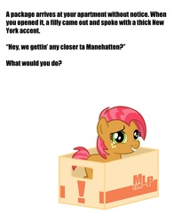 Size: 819x1046 | Tagged: safe, babs seed, g4, box, bronybait, meme, question, text
