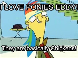 Size: 320x240 | Tagged: safe, rainbow dash, g4, brony, ed (ed edd n eddy), ed edd n eddy, image macro, logic