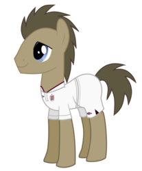 Size: 813x983 | Tagged: safe, artist:isegrim87, doctor whooves, time turner, earth pony, pony, g4, clothes, england, football, jersey, male, simple background, solo, stallion, transparent background, vector