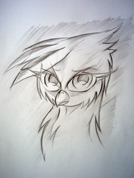 Size: 2304x3072 | Tagged: safe, artist:lachasseauxhiboux, gilda, griffon, g4, female, monochrome, solo, traditional art