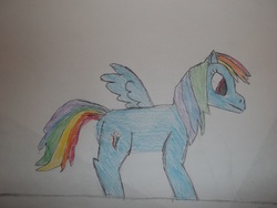 Size: 2048x1536 | Tagged: safe, artist:thoron pony, rainbow dash, g4, female, solo, traditional art