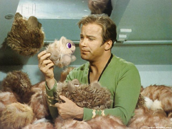 Size: 640x480 | Tagged: safe, edit, fluffy pony, james t kirk, ponies in real life, star trek, star trek (tos), tribble