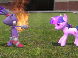 Size: 1024x768 | Tagged: safe, artist:fabri600, twilight sparkle, g4, 3d, blaze the cat, crossover, fire, gmod, sonic the hedgehog (series)