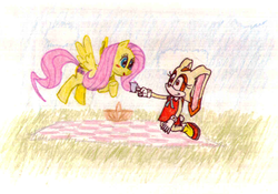 Size: 1149x806 | Tagged: safe, artist:sonicsgreatestfan, fluttershy, g4, cream the rabbit, crossover, sonic the hedgehog (series), traditional art