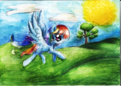 Size: 3504x2492 | Tagged: safe, artist:golden-fly, rainbow dash, g4, female, painting, solo, traditional art