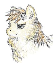 Size: 749x894 | Tagged: artist needed, source needed, safe, fluffy pony, fluffy pony original art, realistic