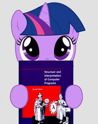 Size: 625x790 | Tagged: artist needed, source needed, safe, twilight sparkle, g4, book, female, filly, programming, read, solo, structure and interpretation of computer programs