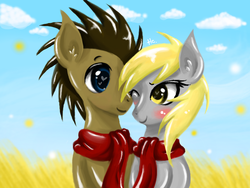Size: 680x512 | Tagged: safe, artist:silvercommando, derpy hooves, doctor whooves, time turner, pegasus, pony, g4, blushing, clothes, female, field, heart eyes, male, mare, scarf, shared clothing, shared scarf, ship:doctorderpy, shipping, straight, wingding eyes