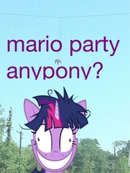 Size: 597x800 | Tagged: safe, twilight sparkle, controller, image macro, irl, mario party, meta, photo, ponies in real life, solo, twilight snapple