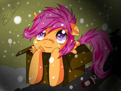 Size: 1024x768 | Tagged: safe, artist:scootaloocuteness, scootaloo, pony, g4, abandoned, box, cute, cutealoo, female, homeless, orphan, pony in a box, scootalone, snow, snowfall, solo