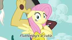 Size: 640x360 | Tagged: safe, discord, fluttershy, g4, insane pony thread