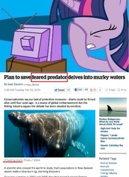 Size: 562x771 | Tagged: safe, twilight sparkle, basking shark, shark, g4, article, exploitable meme, facehoof, fail, meme, new zealand herald, text, tv meme