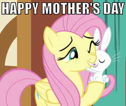 Size: 485x410 | Tagged: safe, angel bunny, fluttershy, g4, female, fluttermom, hug, image macro, male, mother's day, platonic, ship:angelshy, shipping, straight