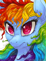 Size: 600x801 | Tagged: safe, artist:fallenzephyr, rainbow dash, g4, female, messy mane, solo