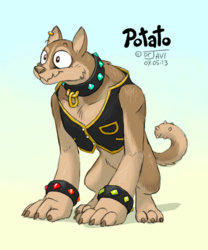 Size: 500x600 | Tagged: safe, artist:drjavi, oc, oc only, oc:potato, diamond dog, collar, male, non pony, non-pony oc, solo