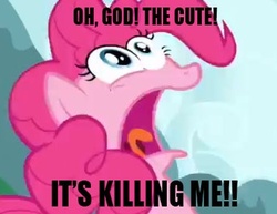 Size: 345x266 | Tagged: safe, pinkie pie, g4, cute, female, image macro, solo