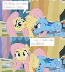 Size: 500x549 | Tagged: safe, edit, edited screencap, screencap, fluttershy, rainbow dash, pegasus, pony, g4, caption, comic, faceful of ass, female, implied sex, lesbian, mare, out of context, screencap comic, ship:flutterdash, shipping, wide eyes