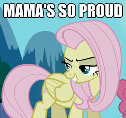 Size: 625x587 | Tagged: safe, edit, edited screencap, screencap, fluttershy, pegasus, pony, g4, the return of harmony, cropped, discorded, flutterbitch, image macro, lidded eyes, solo focus