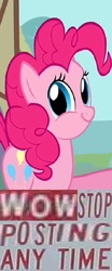 Size: 360x867 | Tagged: safe, pinkie pie, g4, caption, expand dong, it's time to stop posting, meme, twiface, why.jpg