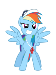 Size: 1403x1872 | Tagged: safe, artist:masterrottweiler, rainbow dash, g4, may the best pet win, rainbow dashs coaching whistle, simple background, transparent background, vector, whistle, whistle necklace