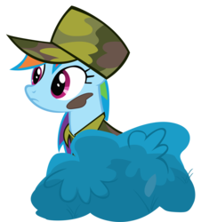 Size: 2994x3314 | Tagged: safe, artist:boneswolbach, rainbow dash, pony, dragon quest, g4, bush, camouflage, female, hat, mare, simple background, solo, transparent background, vector