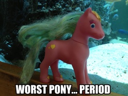 Size: 1600x1200 | Tagged: safe, bootleg, image macro, tara toy, toy, worst pony