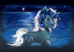 Size: 1024x726 | Tagged: safe, artist:anightlypony, oc, oc only, moon, ocean