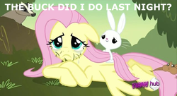 Size: 640x348 | Tagged: safe, edit, edited screencap, screencap, angel bunny, fluttershy, badger, pegasus, pony, squirrel, g4, hurricane fluttershy, caption, female, hangover, hub logo, image macro, male, mare, morning after, out of context, ship:angelshy, shipping, straight
