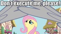Size: 640x360 | Tagged: safe, edit, edited screencap, screencap, fluttershy, a bird in the hoof, g4, caption, floppy ears, image macro, offscreen character, scared, solo focus