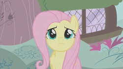 Size: 853x480 | Tagged: safe, screencap, fluttershy, dragonshy, g4, female, scared, solo