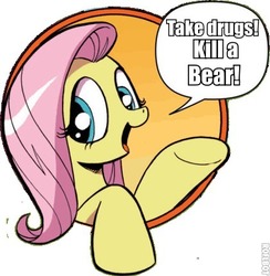 Size: 421x431 | Tagged: safe, idw, fluttershy, pony, friendship is magic #3, g4, my little pony: friendship is magic (idw), bad advice fluttershy, dialogue, exploitable meme, fallout, fallout: new vegas, female, image macro, mare, meme, open mouth, smiling, solo