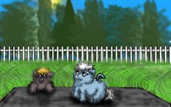 Size: 640x400 | Tagged: safe, fluffy pony, pegasus, pony, fence, fluffy pony original art, garden