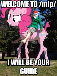 Size: 720x960 | Tagged: safe, pinkie pie, human, g4, /mlp/, image macro, irl, irl human, photo, santa claus, wat