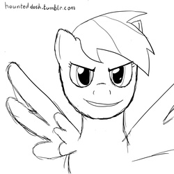 Size: 1000x1000 | Tagged: safe, artist:haunteddash, rainbow dash, g4, 30 minute art challenge, female, solo