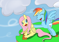 Size: 1280x914 | Tagged: safe, artist:reijana, fluttershy, rainbow dash, pegasus, pony, g4, cliff, female, mare, pushing