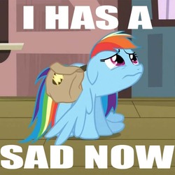 Size: 640x640 | Tagged: safe, rainbow dash, g4, caption, image macro, meme, sad, saddle bag