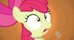 Size: 853x464 | Tagged: safe, screencap, apple bloom, family appreciation day, g4, youtube caption