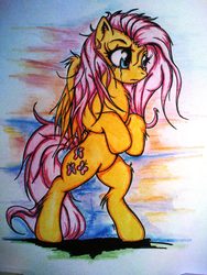 Size: 1536x2048 | Tagged: safe, artist:tomek2289, fluttershy, pony, g4, bipedal, crying, traditional art