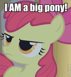 Size: 286x309 | Tagged: safe, edit, edited screencap, screencap, apple bloom, earth pony, pony, bridle gossip, g4, angry, cropped, female, image macro, roflbot, solo