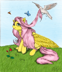 Size: 600x697 | Tagged: safe, artist:derp-my-life, artist:scarletvye, fluttershy, bird, butterfly, pegasus, pony, g4, female, flower, smiling, solo, traditional art