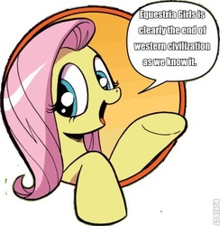 Size: 421x431 | Tagged: safe, idw, fluttershy, equestria girls, friendship is magic #3, g4, my little pony: friendship is magic (idw), bad advice fluttershy, exploitable meme, image macro, meme, panic