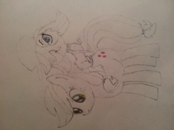 Size: 2048x1536 | Tagged: safe, artist:marxon6, applejack, dog, earth pony, pony, g4, colored pencil drawing, crossover, duo, female, freckles, littlest pet shop, mare, partial color, pencil drawing, sideways image, sketch, traditional art, zoe trent