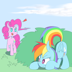 Size: 800x800 | Tagged: safe, artist:30clock, pinkie pie, rainbow dash, g4, hiding, pixiv, sweat